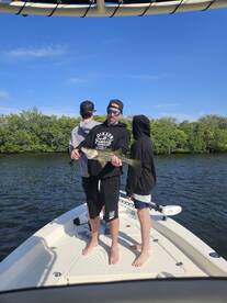 Belleair Bluffs Report Photo 2
