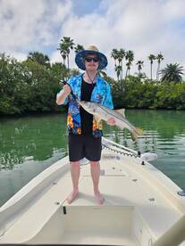 Belleair Bluffs Report Photo 1