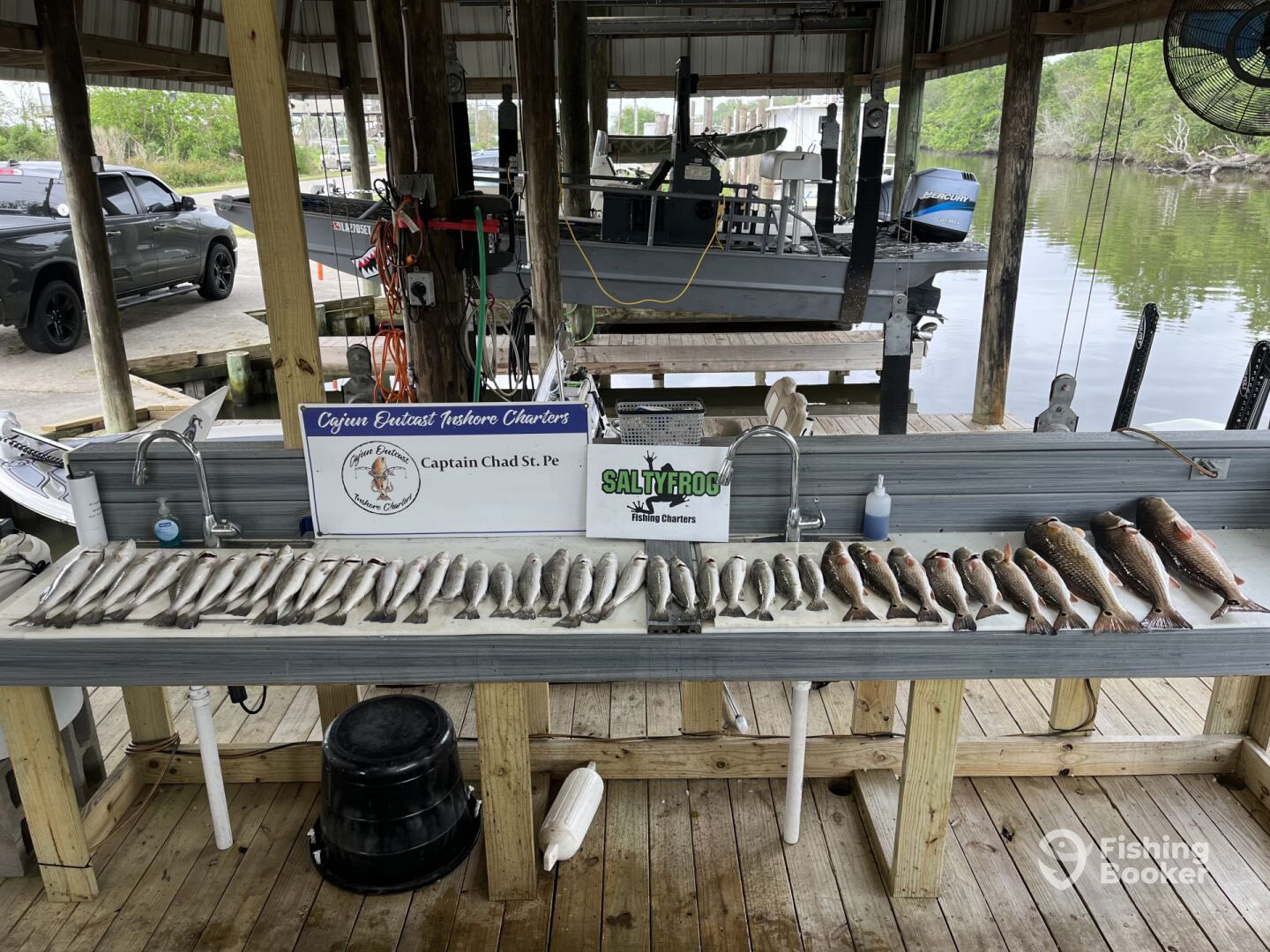 St. Bernard Report Photo 0