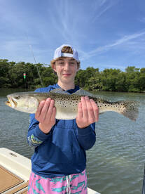 Holmes Beach Report Photo 1