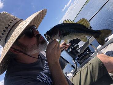Palm Bay Report Photo 2