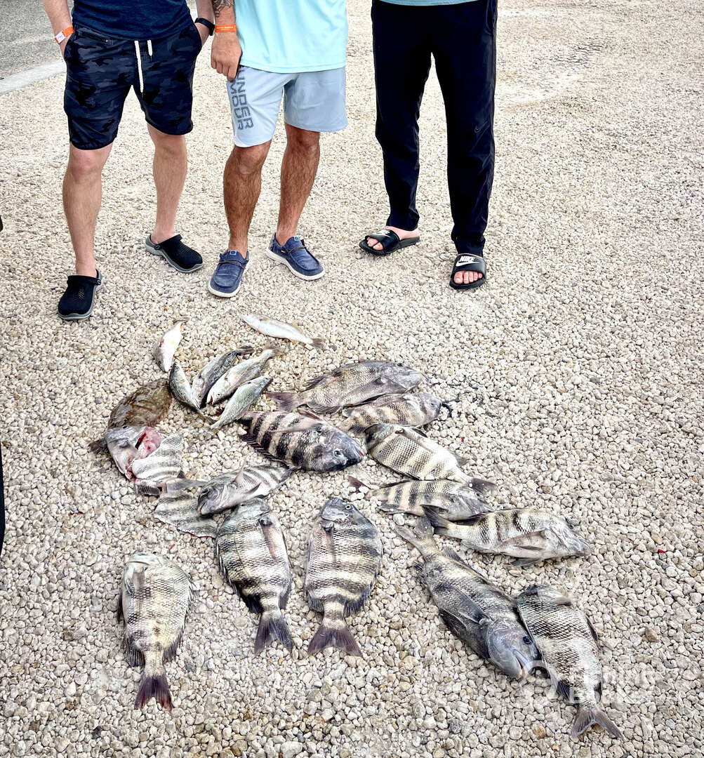 Orlando Report Photo 0