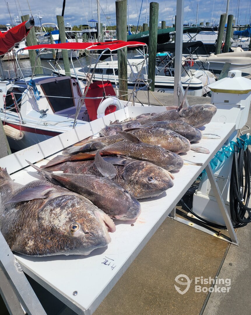 Biloxi Report Photo 0