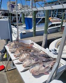 Biloxi Report Photo 1