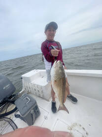 Bull Redfish and Sheepshead