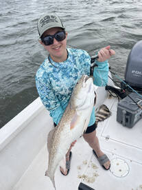 Dauphin Island Report Photo 2