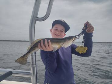 Port St. Joe Report Photo 2