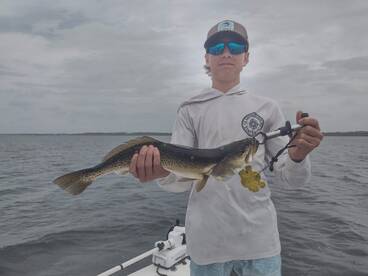 Port St. Joe Report Photo 1