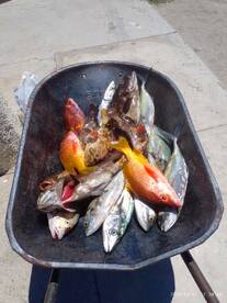 San Jose del Cabo Report Photo 2