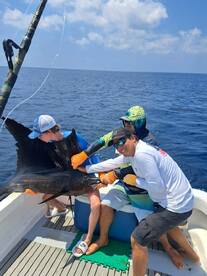 Herradura Report Photo 1