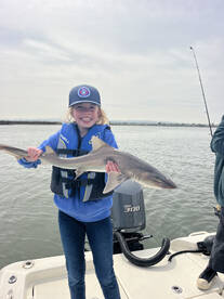 San Diego Bay Variety Pack!