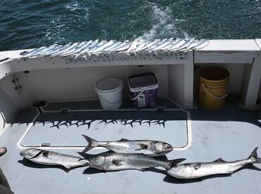 Port Canaveral Report Photo 1