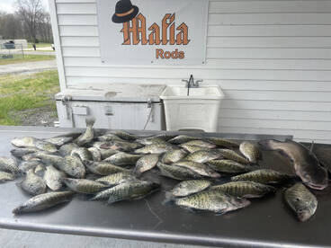 Benton Report Photo 2