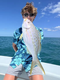 Awesome yellow tail snapper bite! 