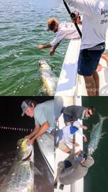 TARPON SEASON IS HERE!