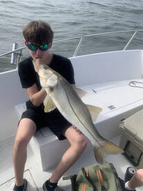 Port Orange Report Photo 2