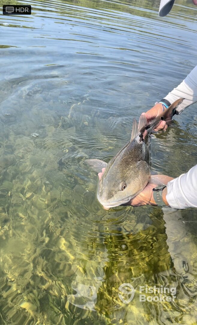 Pompano Beach Report Photo 0