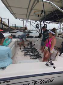 Light tackle Mayhem!