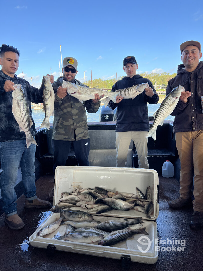 Pottsboro Report Photo 0