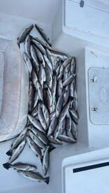 Get with me to get on some fish nows the