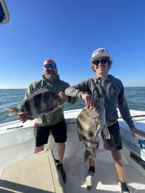 Dauphin Island Report Photo 2