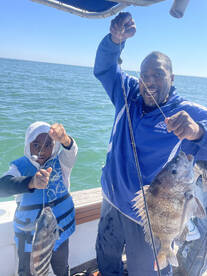 Dauphin Island Report Photo 1