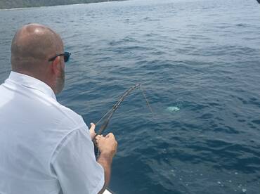 Puerto Jiménez Report Photo 2