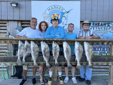 Windy days but hard work pays! 