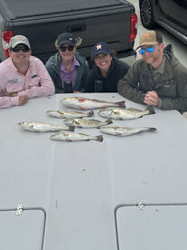 Bringing home the Bacon!