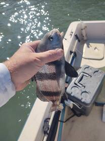 St. Augustine Report Photo 1