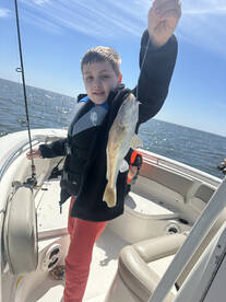 Biloxi Report Photo 2