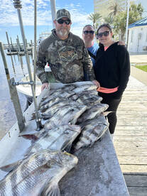 Biloxi Report Photo 1