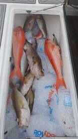 Placida Report Photo 1