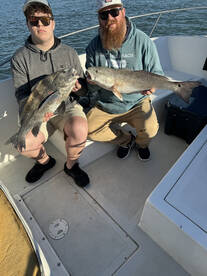 Port Orange Report Photo 2