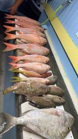 April Fishing is heating up! Book your t