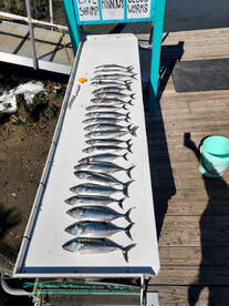 Murrells Inlet Report Photo 2