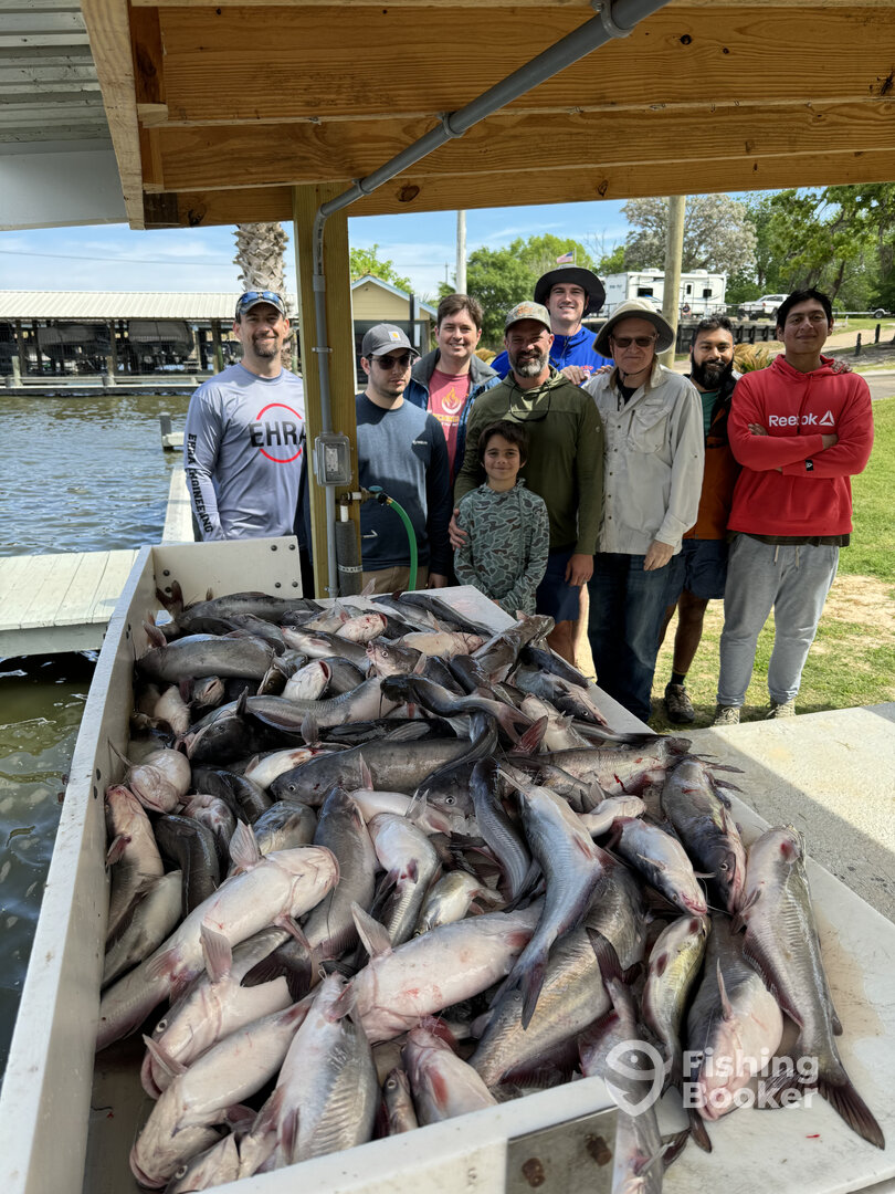 Livingston Report Photo 0