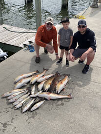 Gulfport Report Photo 2