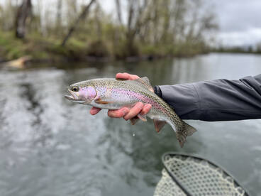 Spring on the Mackenzie!