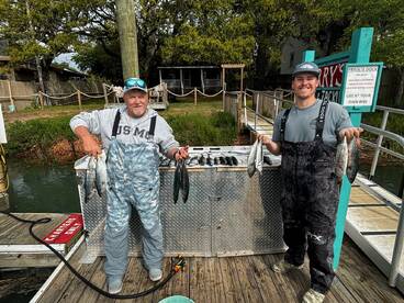 Murrells Inlet Report Photo 2