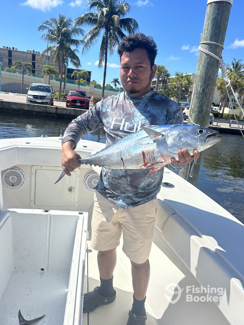 Boynton Beach Report Photo 0