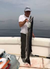 Fujairah Report Photo 1