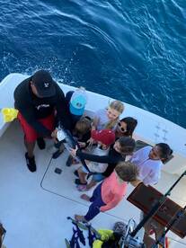 Cabo San Lucas Report Photo 2