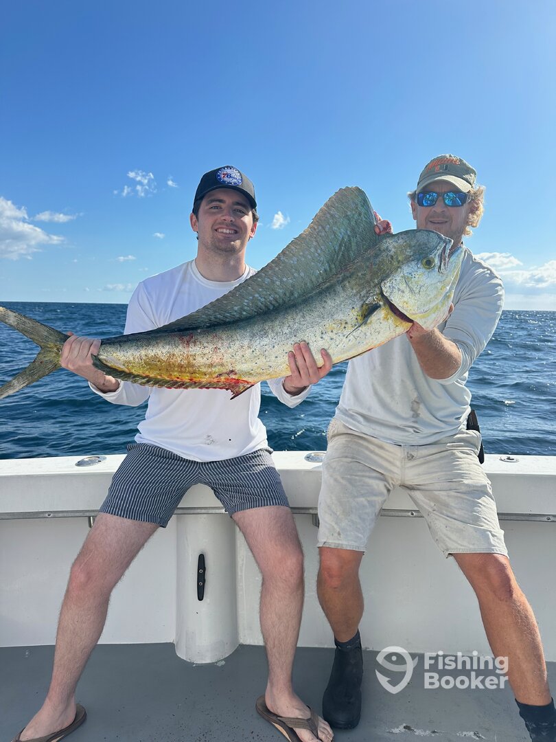 Dania Beach Report Photo 0