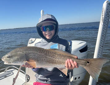 Port St. Joe Report Photo 2