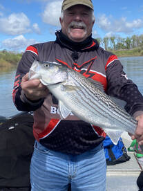 Fishing Report; Stripers are here Colusa
