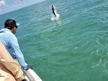 Lots of Tarpon action!