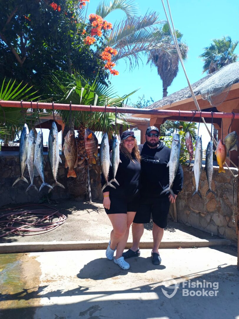 San Jose del Cabo Report Photo 0
