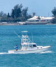 Sandys Report Photo 1