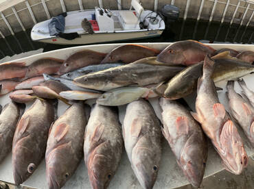 Stock Island Report Photo 2